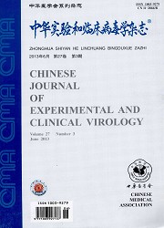 中华实验和临床病毒学封面
