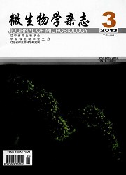 微生物学杂志封面